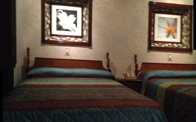 photo 3 of Hotel 31