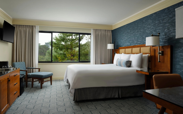 photo 3 of Hotel Abrego