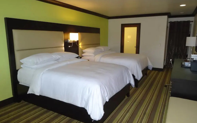 photo 3 of Hotel Azura