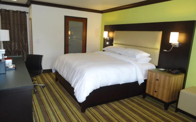 photo 4 of Hotel Azura