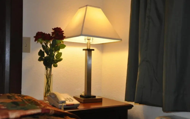 photo 5 of Hotel Belmont