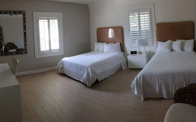 photo 3 of Hotel Biba