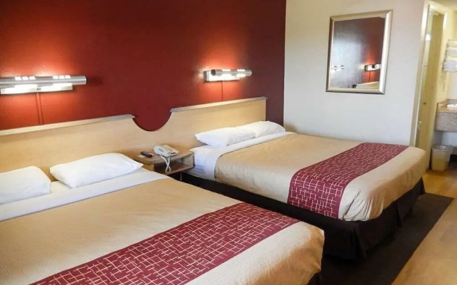 photo 2 of Hotel Elite