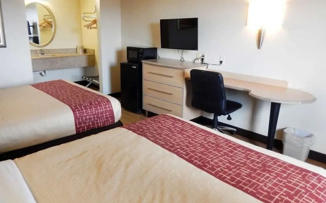 photo 3 of Hotel Elite