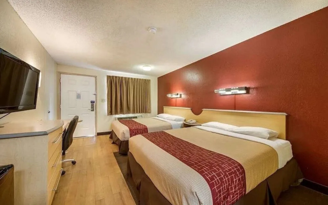 photo 5 of Hotel Elite