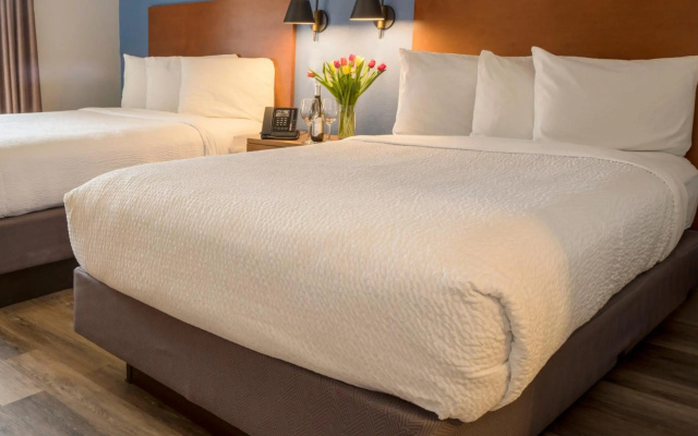 photo 3 of Hotel Focus SFO