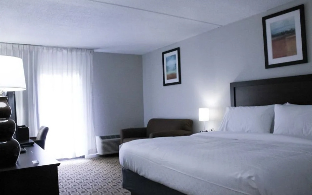 photo 5 of Hotel Lex