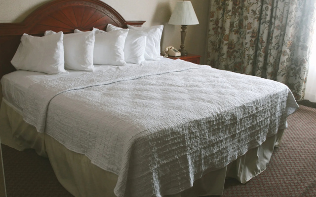 photo 3 of Hotel Louisville