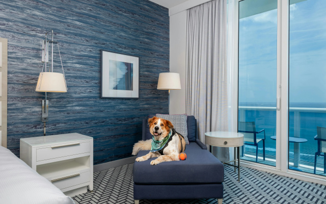 photo 4 of Hotel Maren Fort Lauderdale Beach, Curio Collection by Hilton