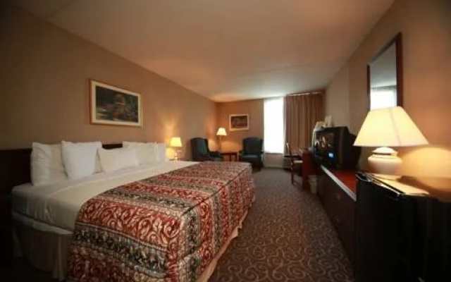 photo 5 of Hotel Marion