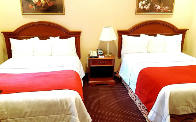 photo 4 of Hotel Newton