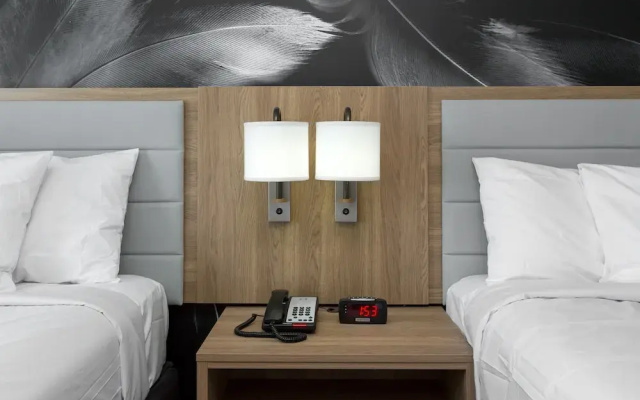 photo 5 of Hotel Ninety Five