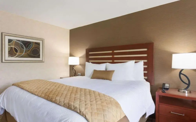 photo 4 of Hotel Royale of Grand Rapids