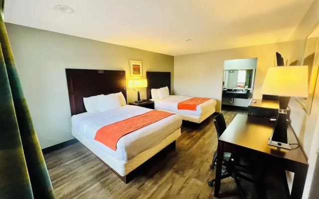 photo 4 of Hotel Vernon