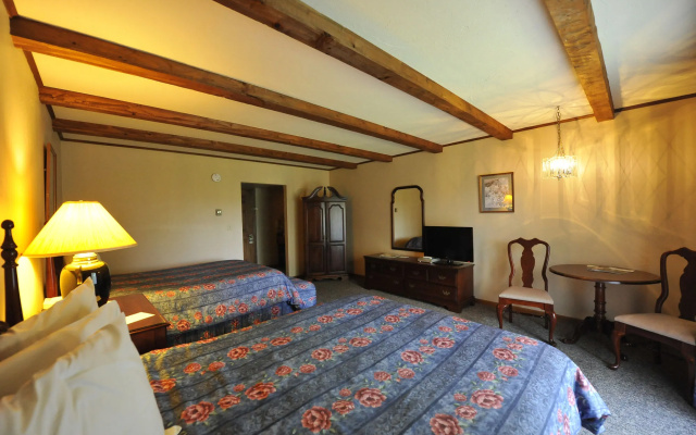 photo 5 of Hotel Vienna