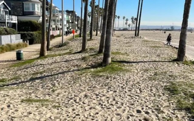 photo 2 of House on Venice Beach Apartment Hotel