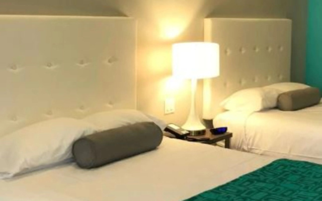 photo 5 of Americas Best Value Inn Houston Willowbrook