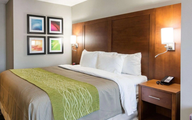 photo 4 of Quality Inn & Suites Ashland near Kings Dominion