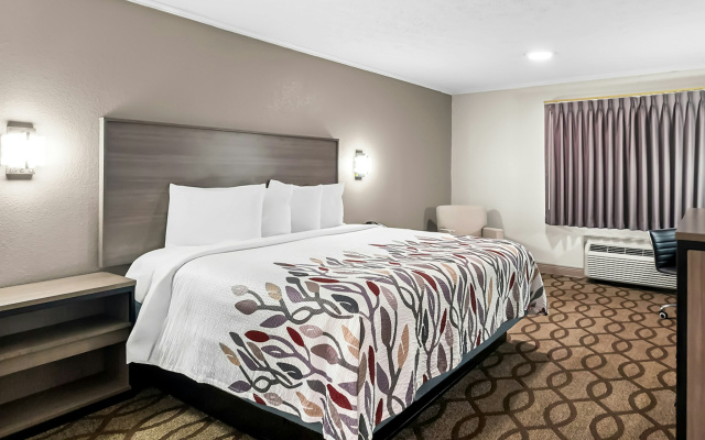 photo 4 of Red Roof Inn Lexington - Hamburg