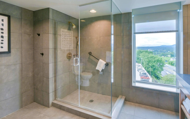 photo 5 of Hyatt Place Asheville/Downtown