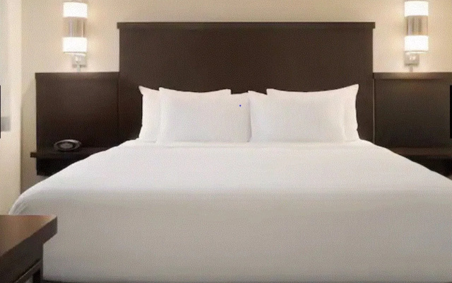 photo 4 of Hyatt Place Philadelphia/ King of Prussia