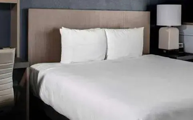 photo 3 of Hyatt Summerfield Suites Dallas Uptown
