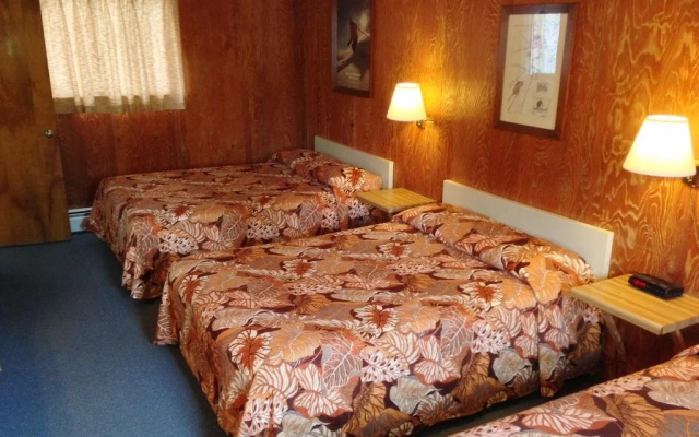 photo 5 of Indianhead Ironwood Motel
