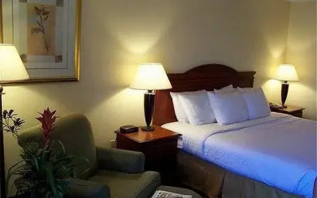 photo 3 of Holiday Inn-Albany Mall