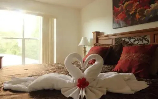 photo 5 of Jasmine Home by Florida Dream Homes
