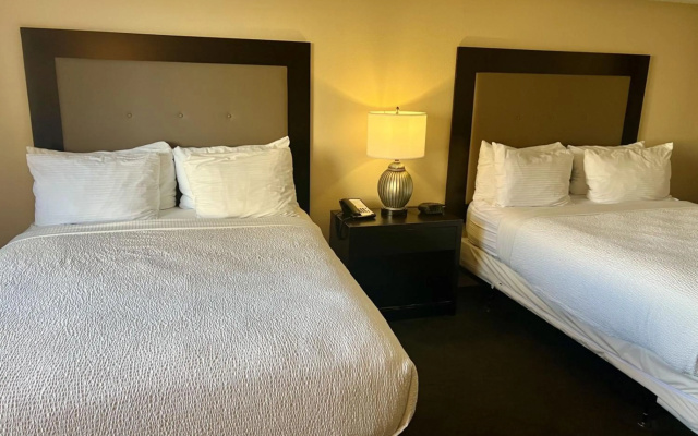 photo 3 of Jockey Resort Suites Center Strip