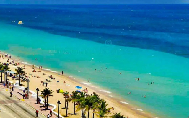 photo 4 of JUNGLE TO BEACH 4 R 3 BR Family and Pet Heated pool N Airport N Beach N Hard Rock