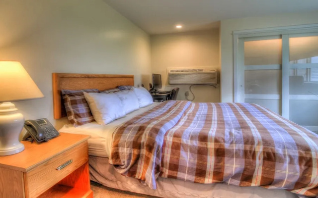 photo 3 of Kcis 432 - Killington Tree House: 2 Room Modern Condo