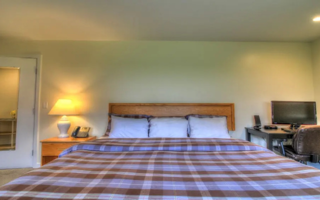 photo 5 of Kcis 432 - Killington Tree House: 2 Room Modern Condo
