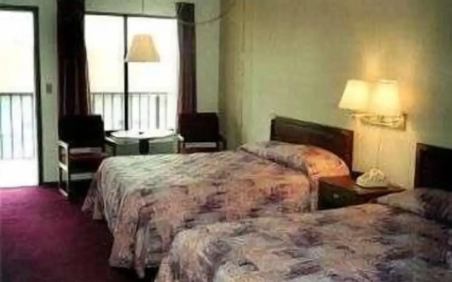 photo 3 of Twinkle Inn
