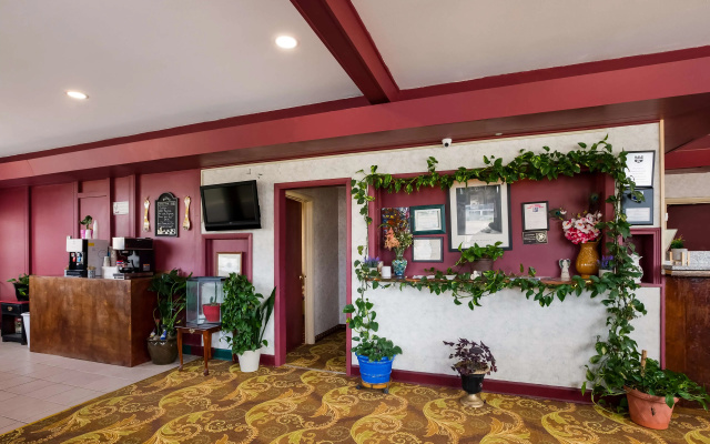 photo 2 of Knights Inn Fayetteville