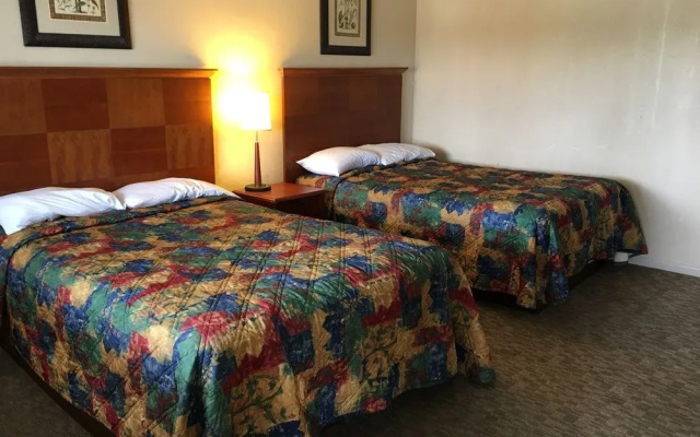 photo 3 of Knights Inn Florence