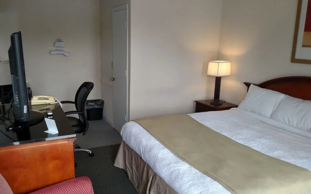 photo 5 of Hope Inn
