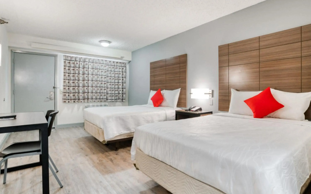 photo 3 of Dallas Love Field Inn