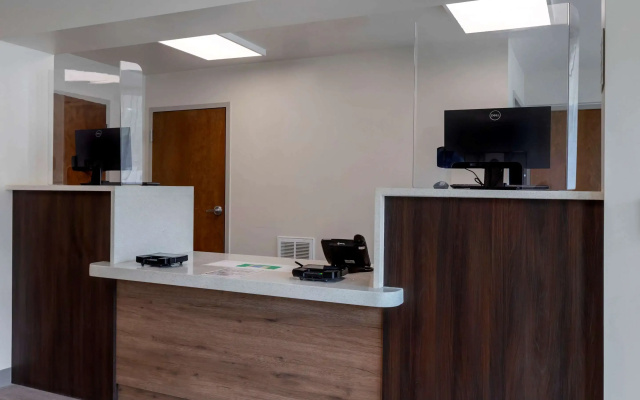 photo 3 of Quality Inn Saint Petersburg North-Tampa Bay