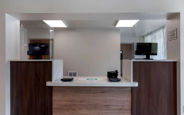 photo 4 of Quality Inn Saint Petersburg North-Tampa Bay