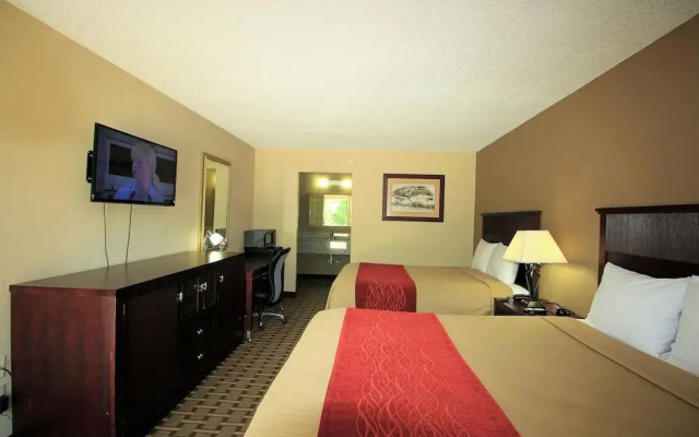 photo 3 of The Night Inn
