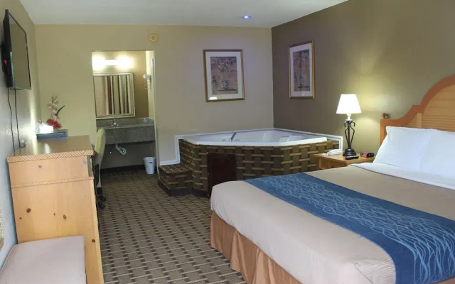 photo 4 of The Night Inn