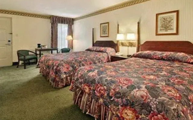 photo 3 of Knights Inn Williamsburg