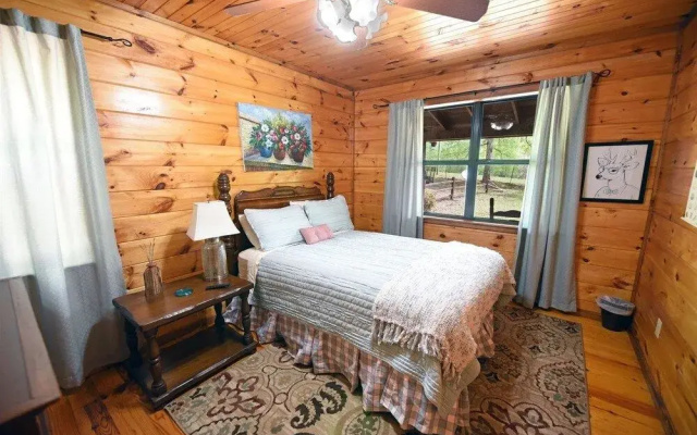photo 3 of Knotty Pony Cabin- Blue Ridge