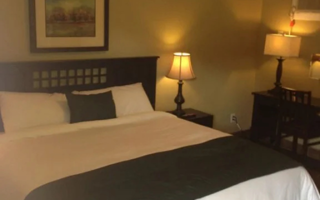 photo 5 of La Bella Motel