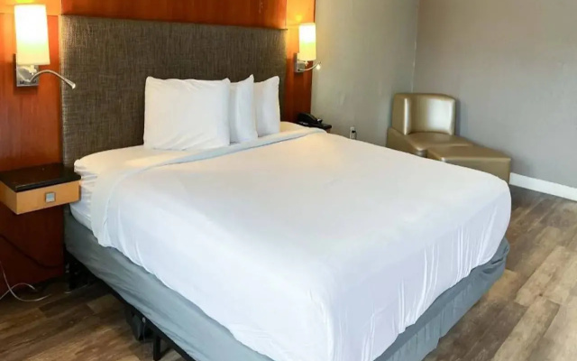 photo 2 of Motel 6 New Port Richey, FL