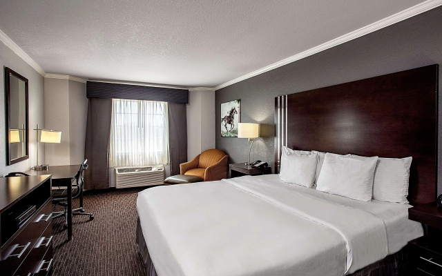 photo 5 of La Quinta Inn & Suites by Wyndham Davis