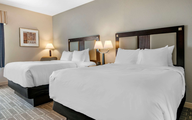 photo 4 of Comfort Inn & Suites