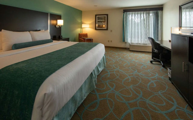 photo 3 of Best Western Plus Duluth / Sugarloaf