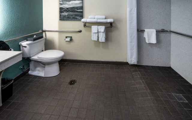 photo 5 of Best Western Plus Duluth / Sugarloaf